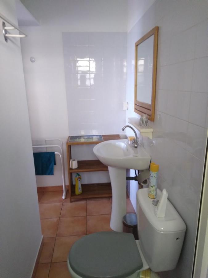 Studio Aux Avirons Pour 2 Personnes, Avec Piscine Les Avirons المظهر الخارجي الصورة